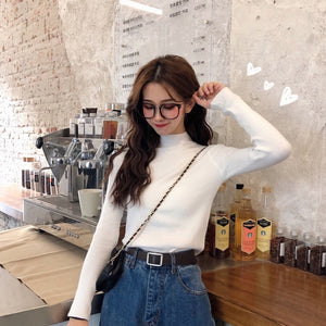 2019 Autumn Winter Women Knitted Turtleneck Sweater Casual Soft Polo-neck Jumper Fashion Slim Femme Elasticity Pullovers