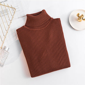 On Sale 2019 Autumn Winter Women Knitted Turtleneck Sweater Casual Soft Polo-neck Jumper Fashion Slim Femme Elasticity Pullovers